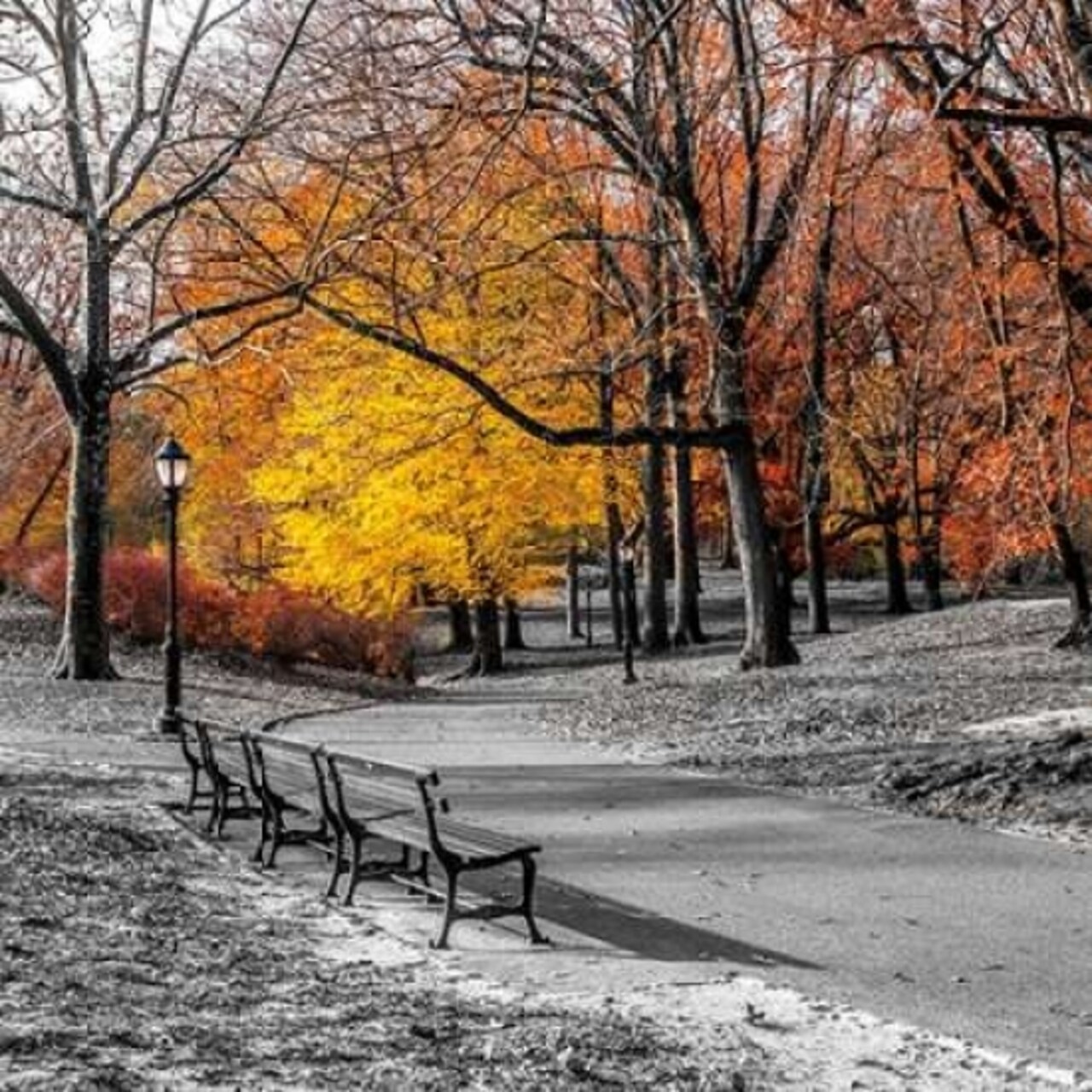 Park Pretty I Poster Print by Assaf Frank - Item # VARPDX16501